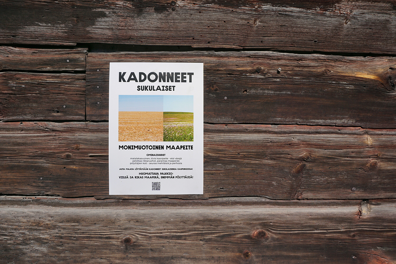 mcc_bubla_missing-kins_02