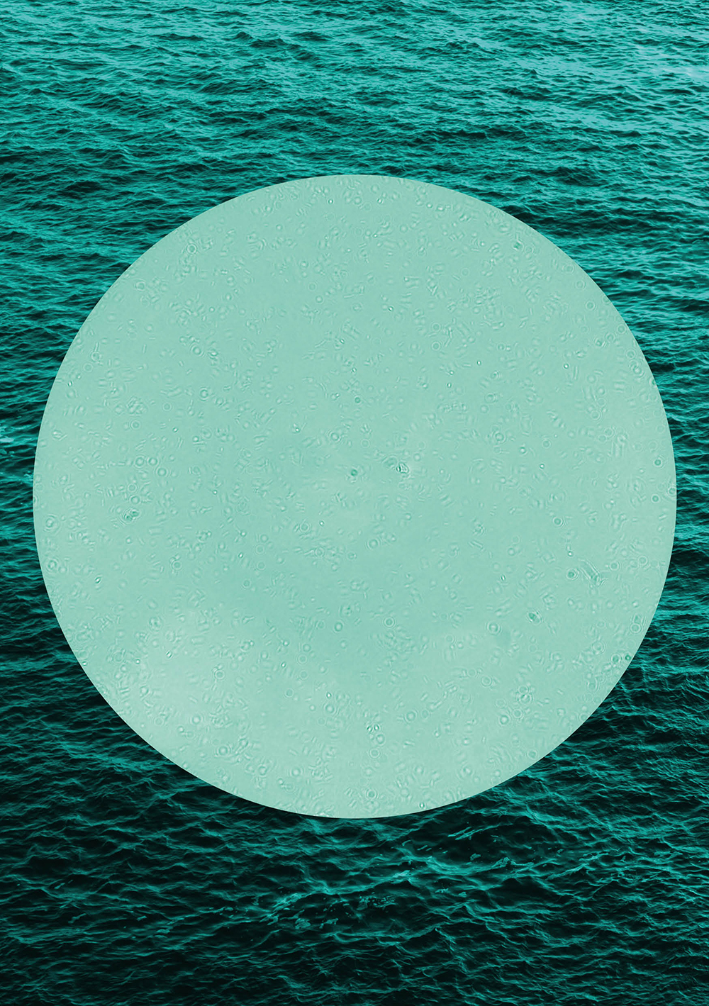 evabubla_lifeforms-m_02